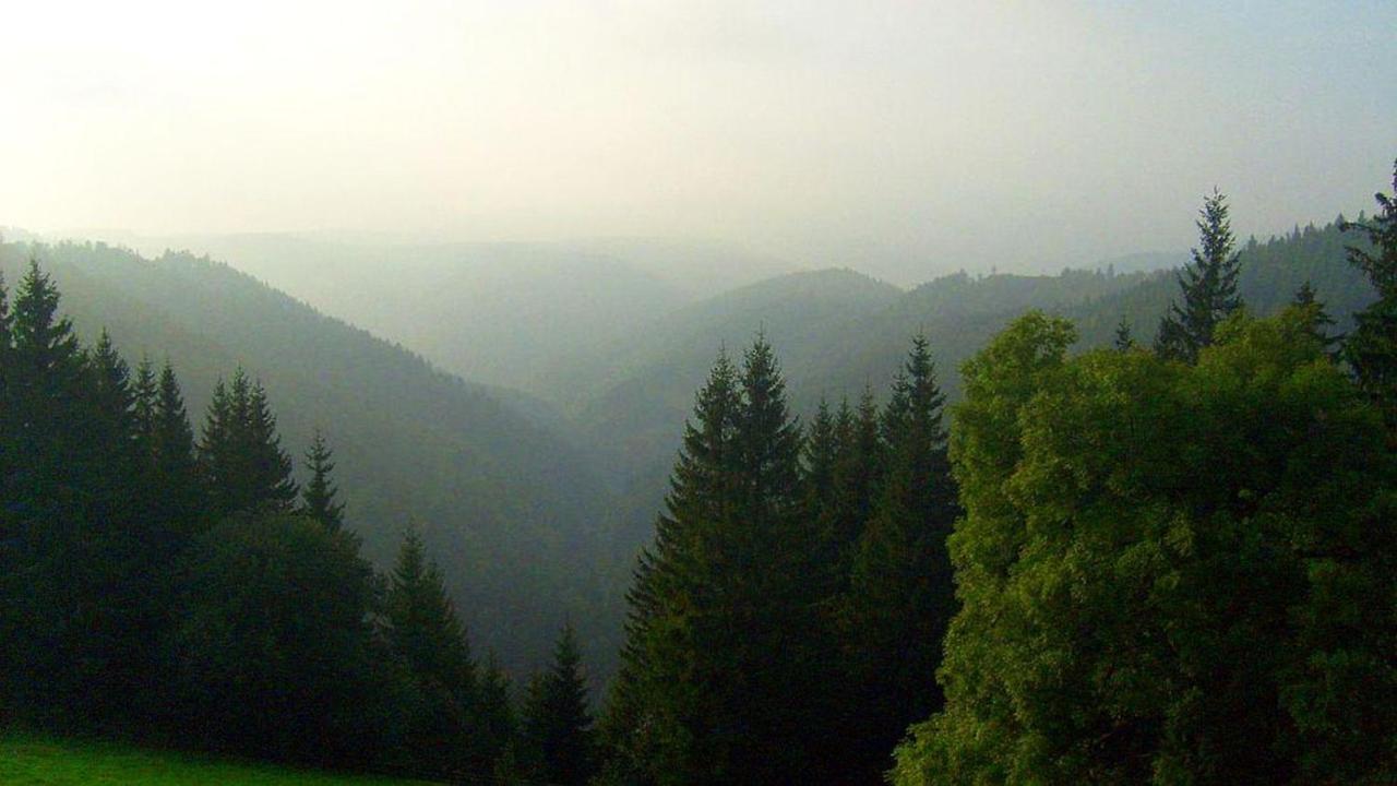 Schwarzwaldgasthaus Linde Schramberg Dış mekan fotoğraf